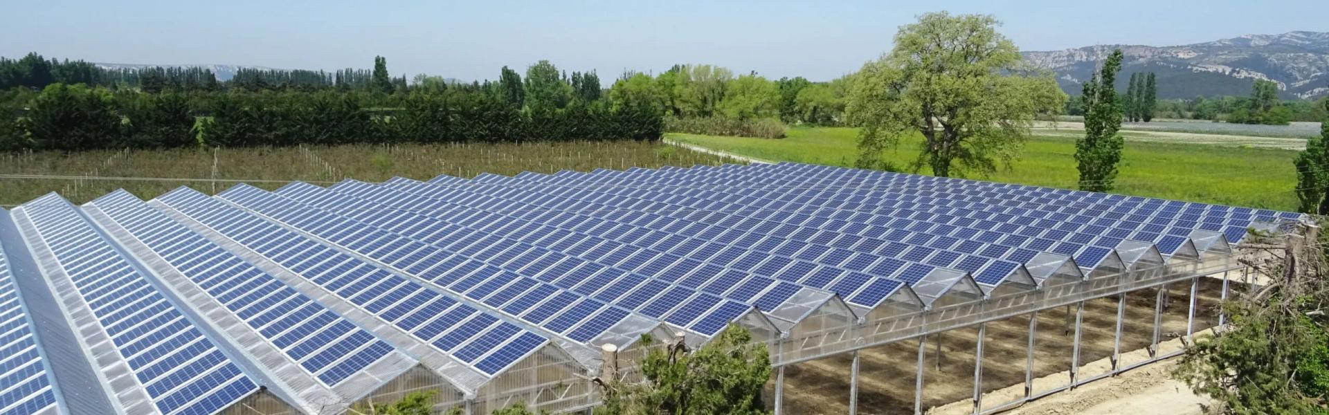 Agrivoltaïsme et serres photovoltaïques - Panneaux solaires pour l'agriculture - Solutions d'énergies renouvelables pour les agriculteurs, industriels et collectivités